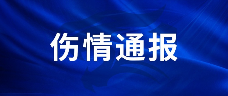 武汉三镇伤情通报：王毅右膝韧带损伤休4-6周，陈哲超踝伤2-3周